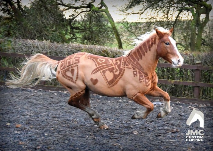 horses-hairdos1