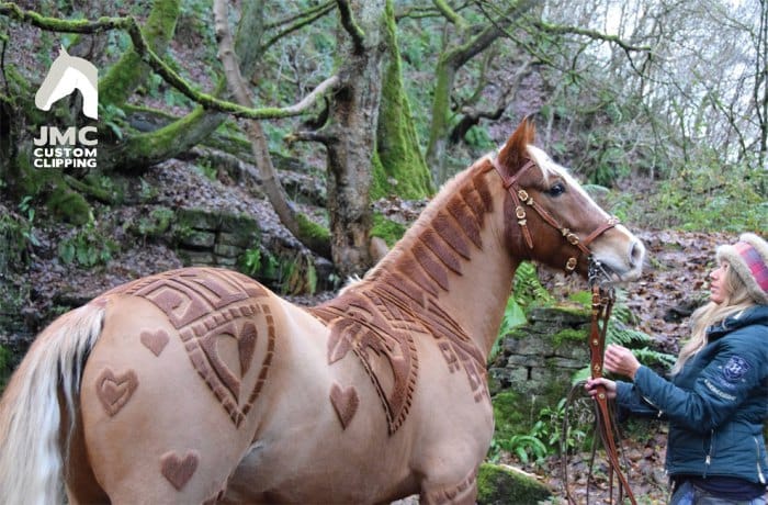 horses-hairdos4