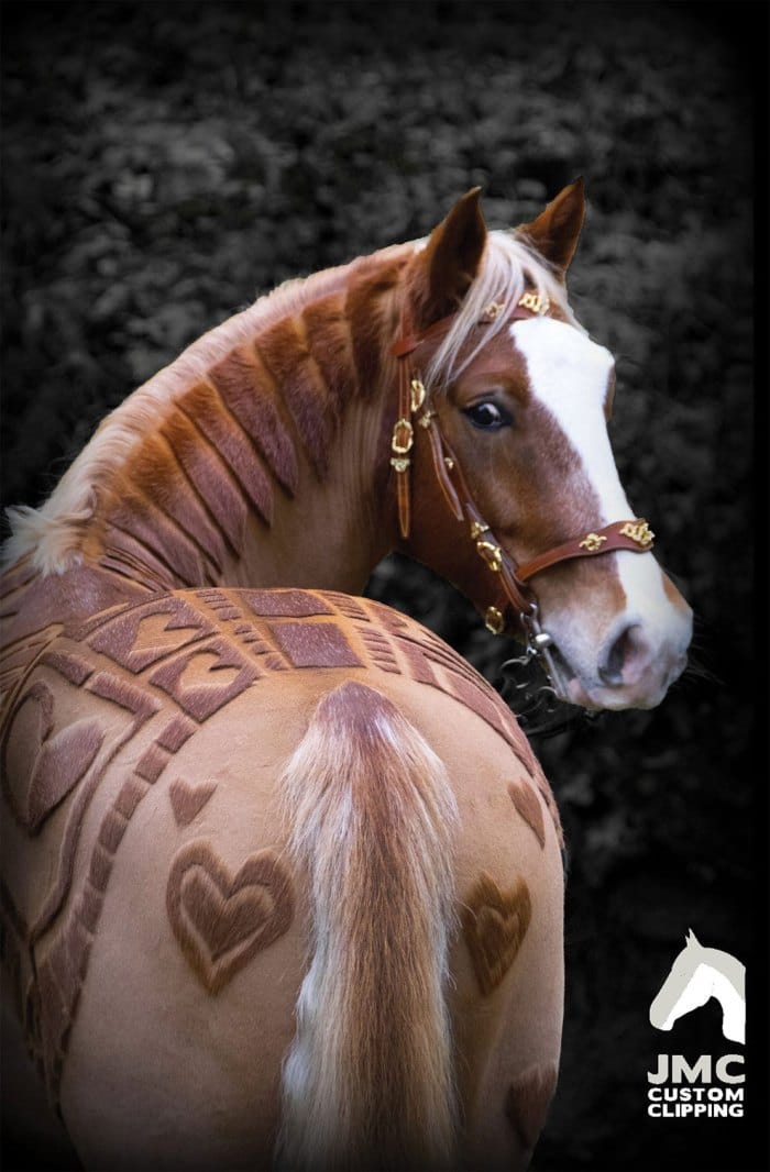 horses-hairdos6