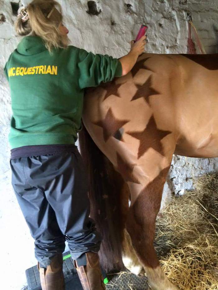 horses-hairdos7