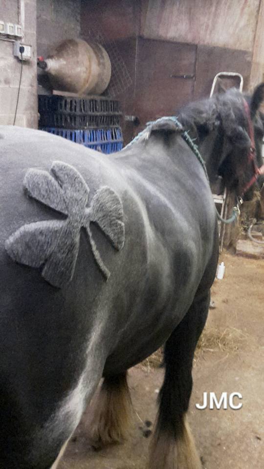 horses-hairdos8