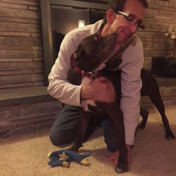 pitbull-bernie6